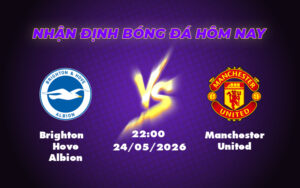 brighton hove albion manchester united 24 05 ngoai hang anh