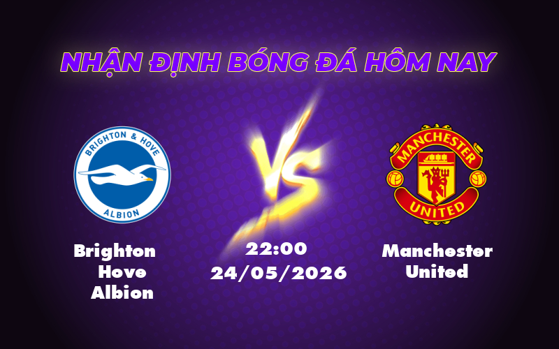 brighton hove albion manchester united 24 05 ngoai hang anh